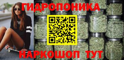 индика Усть-Джегута
