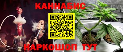 индика Усть-Джегута