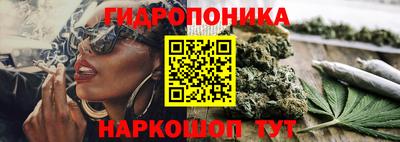 индика Усть-Джегута